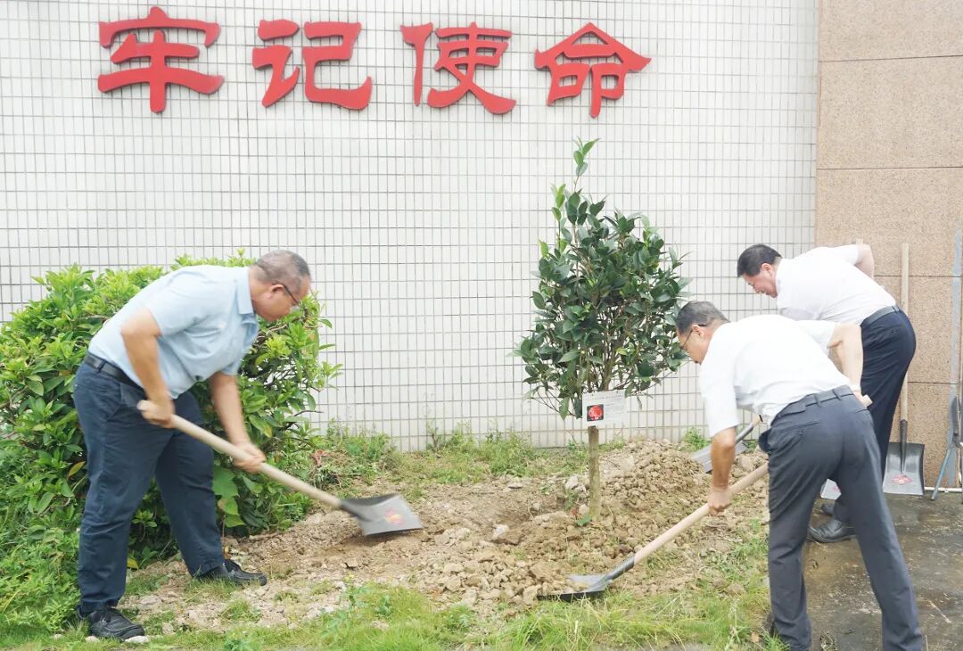 种树.jpg