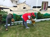 文章附圖